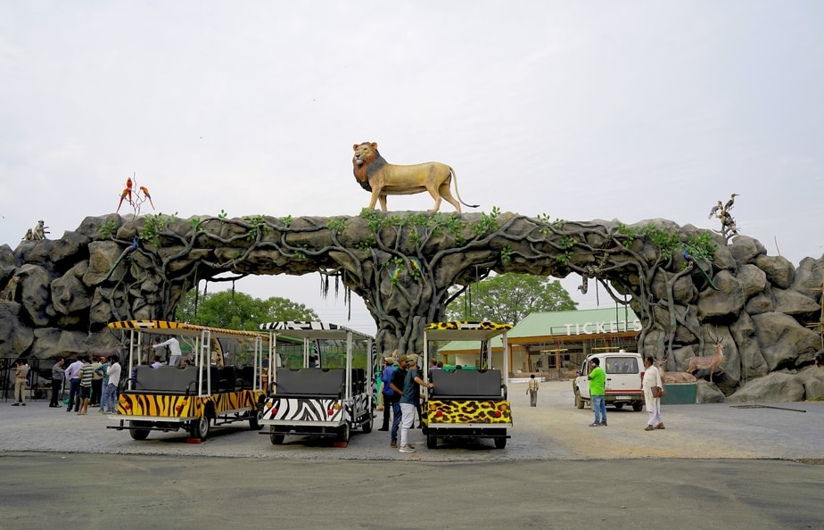 Jungle Safari