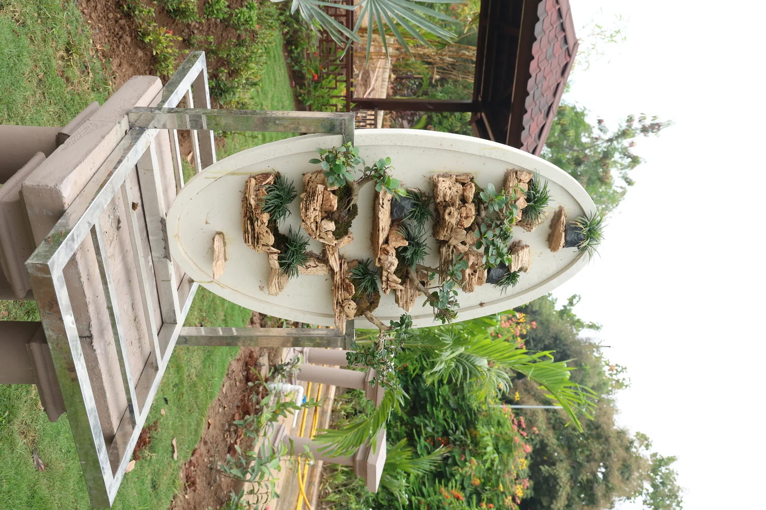 Vaman Vriksh Vatika- The Bonsai Garden